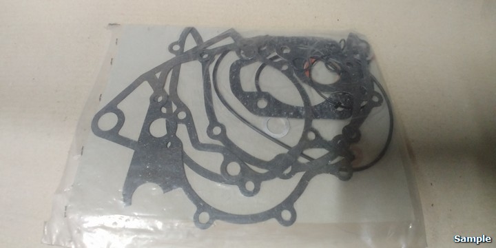 Sr. Guarnizioni Motore Fantic Raider 125 Liquido